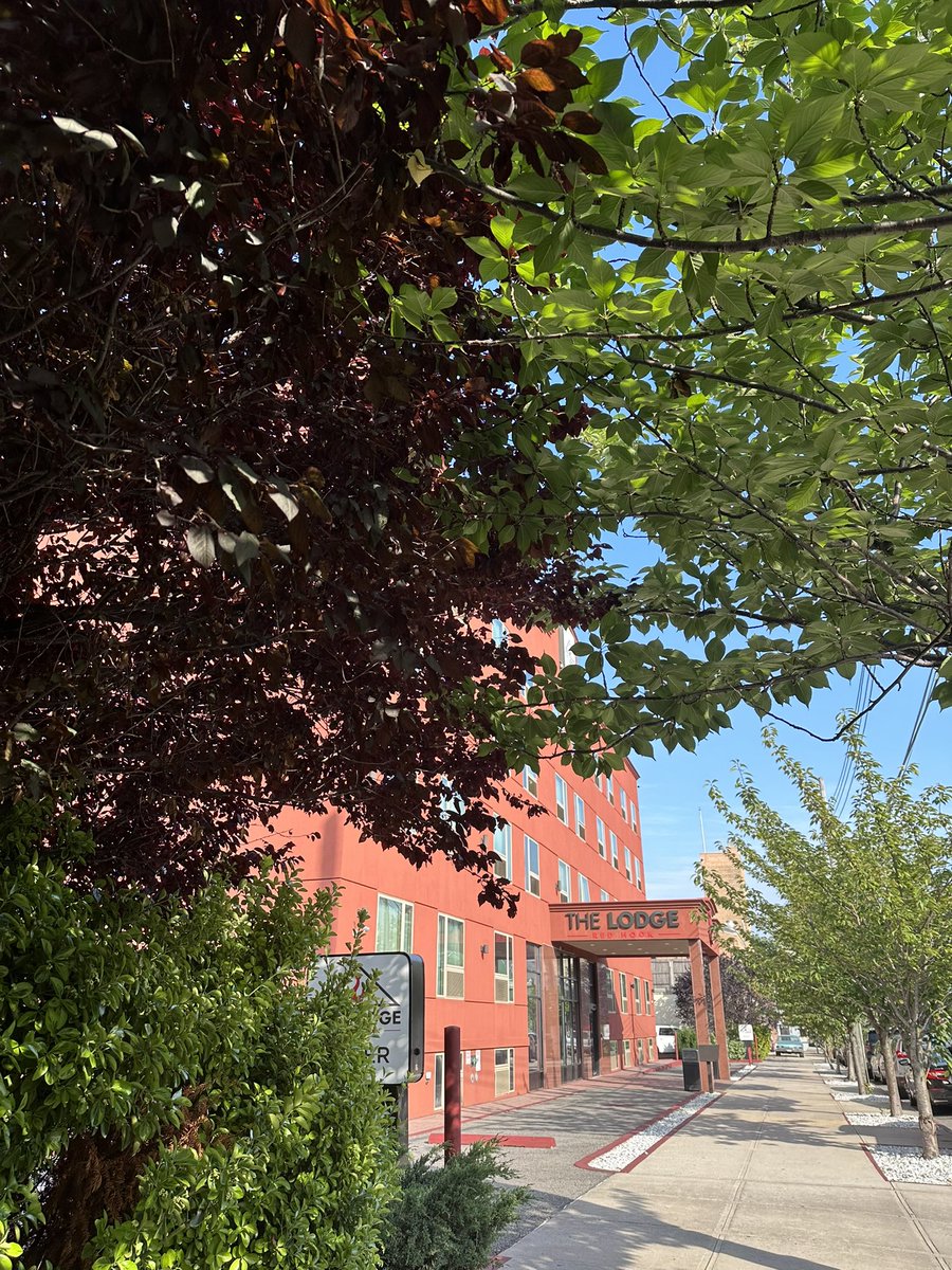 TheLodgeRedHook's tweet photo. Welcome to The Lodge Red Hook, nestled in one of the most beautiful and historic boroughs! 

Uncover the beauty of Brooklyn when you book with us🌆 https://t.co/AlYsDxNeKl