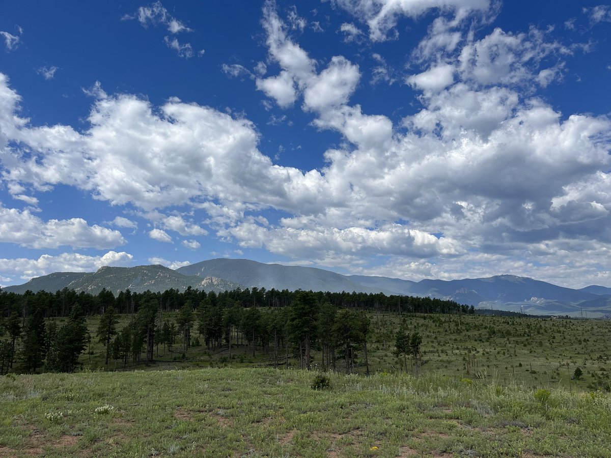 #SouthPlatteRD firefighters have been briefed and are reengaged on the #SandSpringsRX. Very little smoke is visible this morning but you can expect it to increase throughout the day as fuels dry and interior pockets continue to consume.