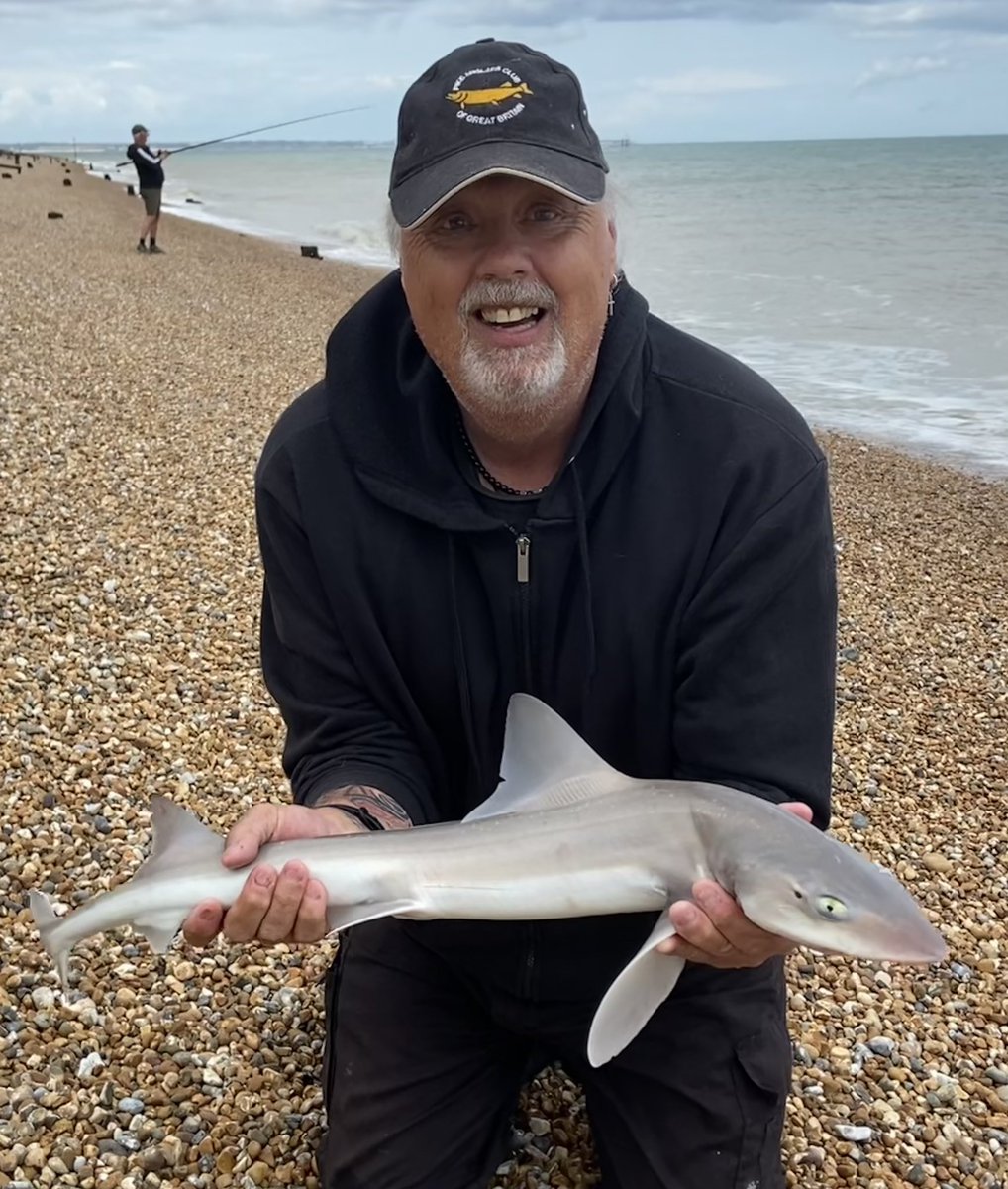 Had a great day on the beach 😀 #smoothound #seafishing #dealkent