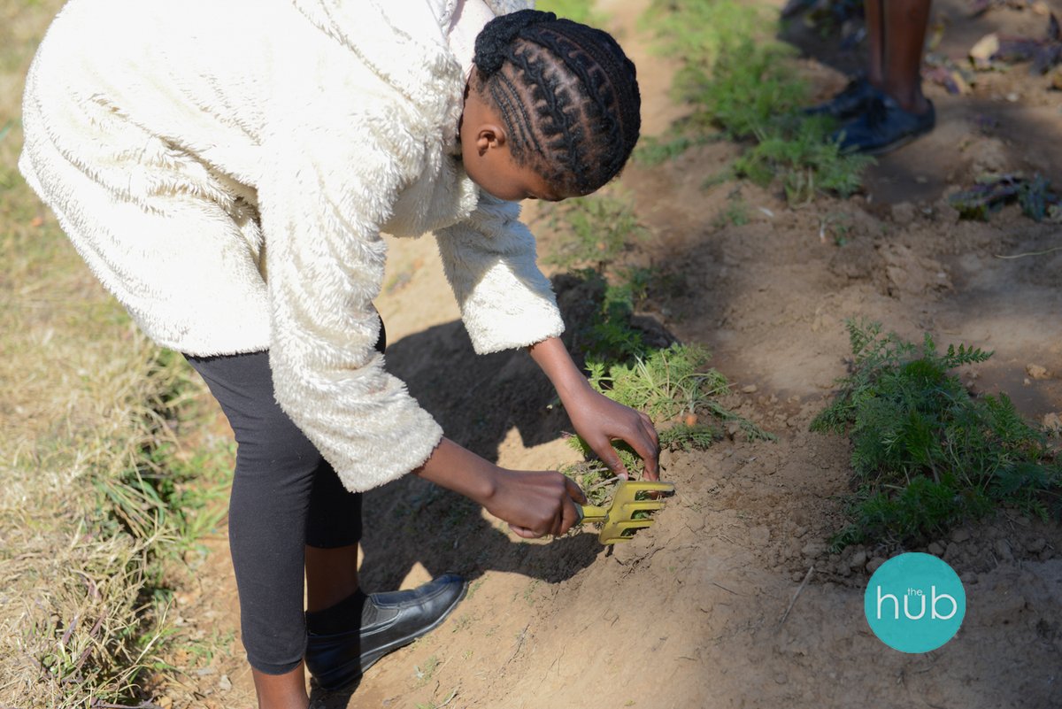 Lots happening at The Hub while schools are on holiday! In addition to Skills &amp; Soup, our members have been enjoying learning with <a href="/enigma_academy/">Enigma Academy</a>, robotics with <a href="/microbit_edu/">Micro:bit Educational Foundation</a>, harvesting vegetables from the garden &amp; more! Teamwork makes the dream work 💫🫶🙏