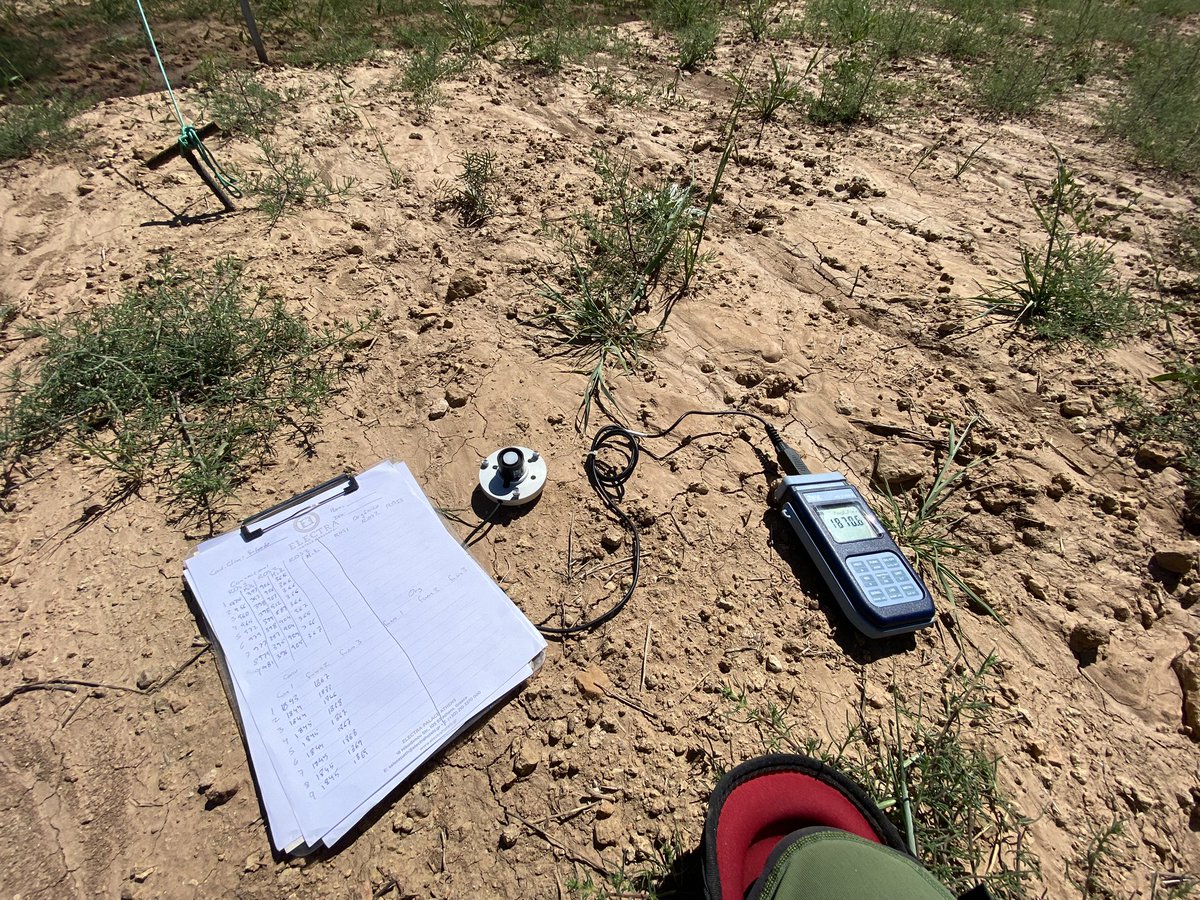 MataixSolera's tweet photo. Fieldwork, heatwave, la Junquera (Murcia), Soil Science, SOILGUARD Project, extreme conditions!!!! @SOILGUARD_H2020 https://t.co/enBk7ww7Ps