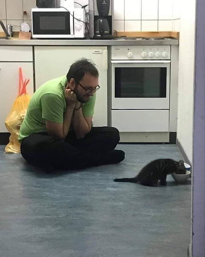 *Meu gato apenas existindo*

Eu: