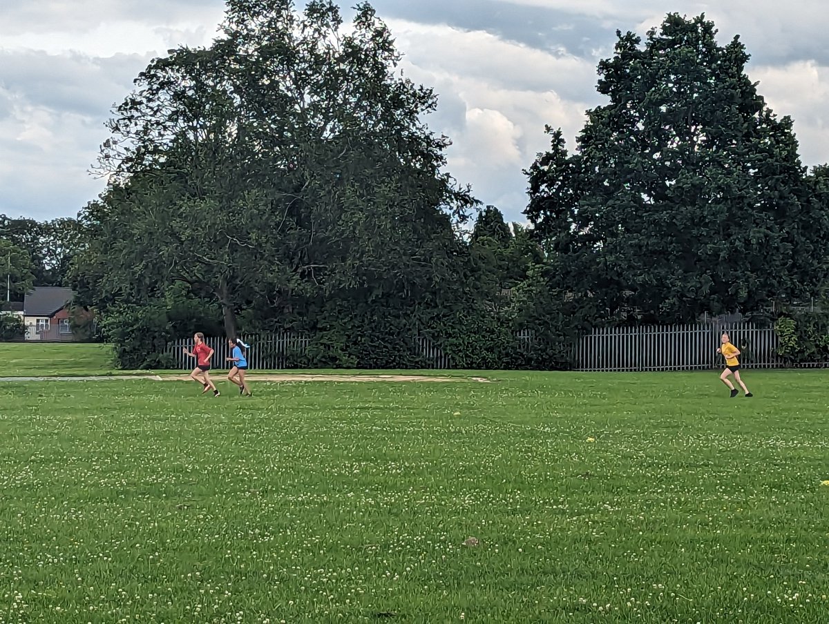 Year 3 HighStPrimary tweet media