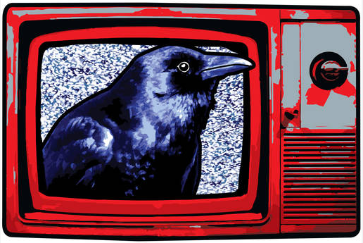 DerekHope16's tweet photo. supercharge your crypto business . You can buy an ad on the cryptocrow youtube channel using the best shitcoin on cardano #Crowtoken
over 141k subscribers
https://t.co/dMYuyffUOz… Buy Advertising on Crypto Crow Youtube with
@Crowtokens
#Cardano buy crow at #vyfi dex https://t.co/yQfoqc9vvH