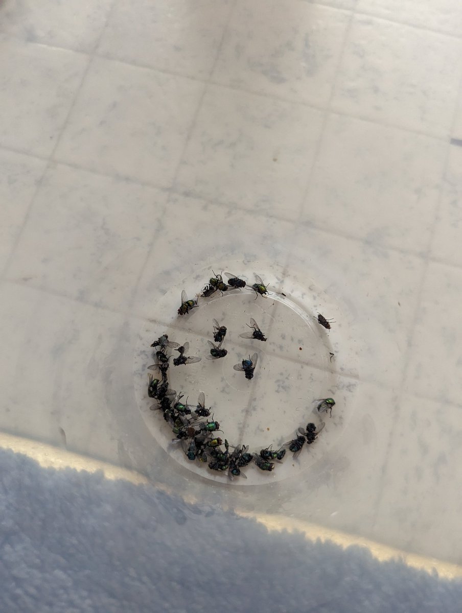 They are back. Bring it on