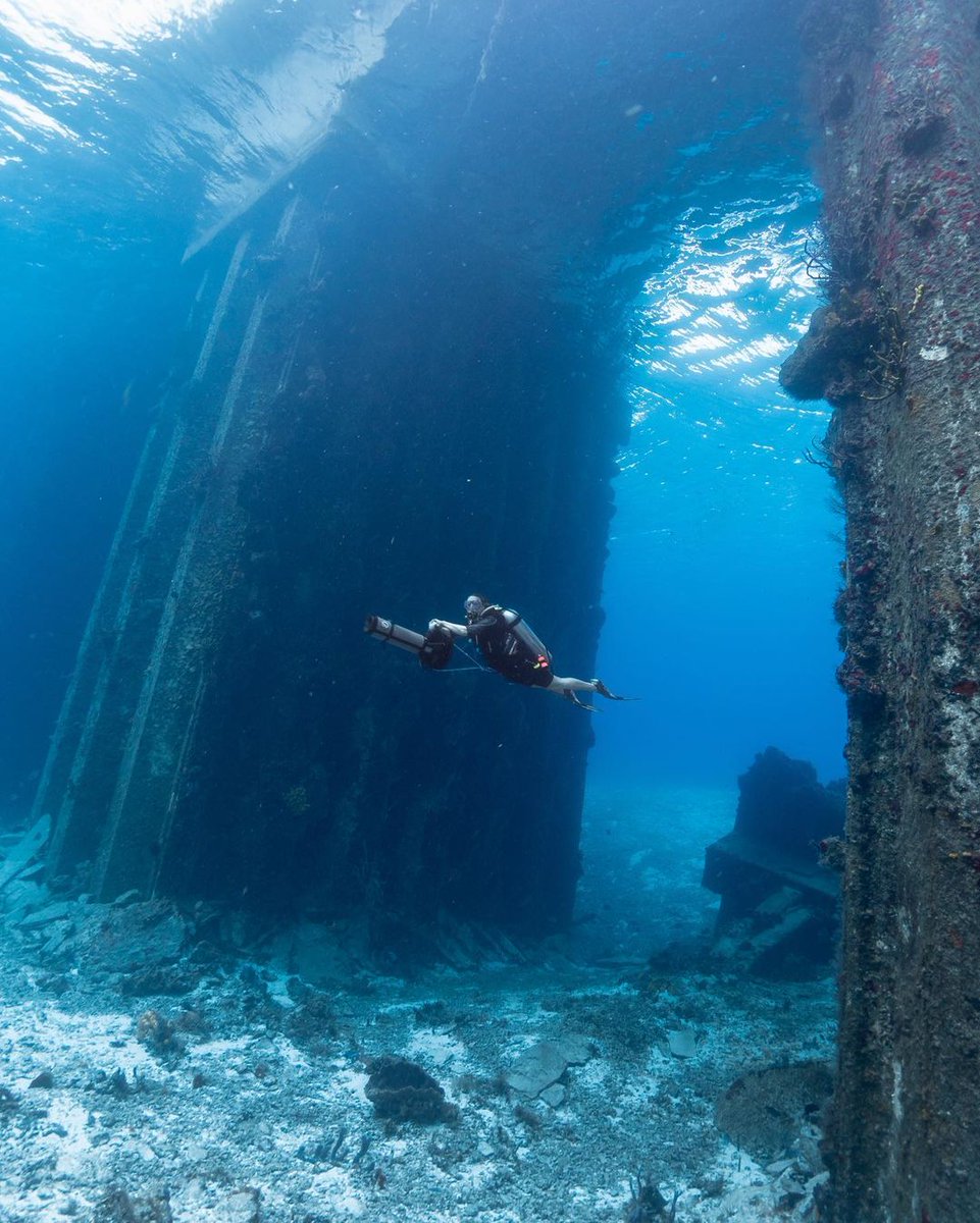 Crossing the threshold into an underwater world.

🤿: @ leslie78746 on Instagram
📷: @ humarine.cozumel on Instagram

#divextras #dpvdiving #scuba #scubadiving #scubadiver #scubadiverslife #scubaworld #divelife #diveworld #padi