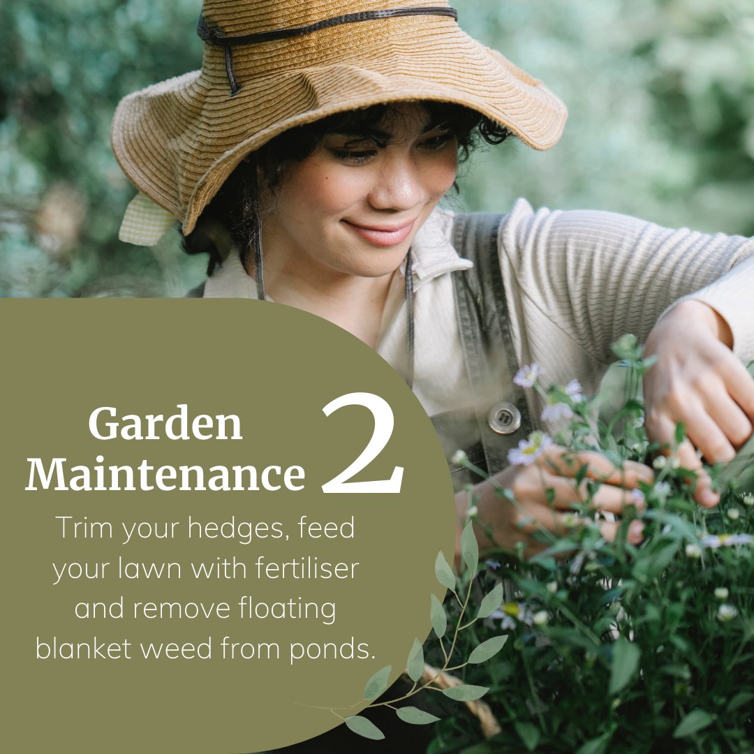 Primrose tweet media