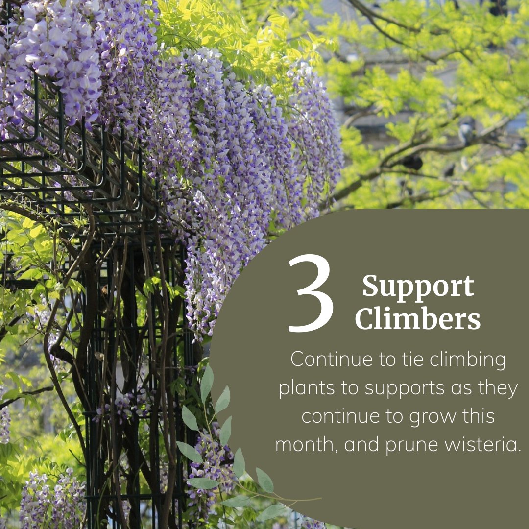 July gardening is mostly about maintenance 🧹

It’s often the hottest month of the season; therefore, a great time to sit &amp; enjoy all your work from earlier in the year.

Swipe to see what you can do in your garden this month, or read more here: bit.ly/44ldSK9