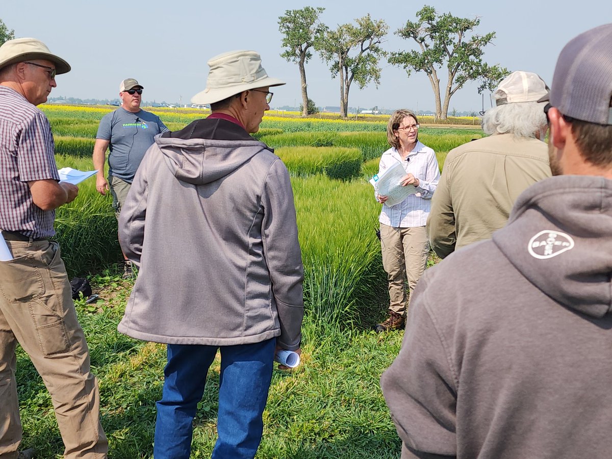 FarmingSmarter's tweet photo. "When you have drought, mother nature is your PGR"
Fascinating insights on barley PGR use to increase yield and reduce lodging from @SheriStrydhorst at #PlotHop23! https://t.co/QBjvKZfpyv