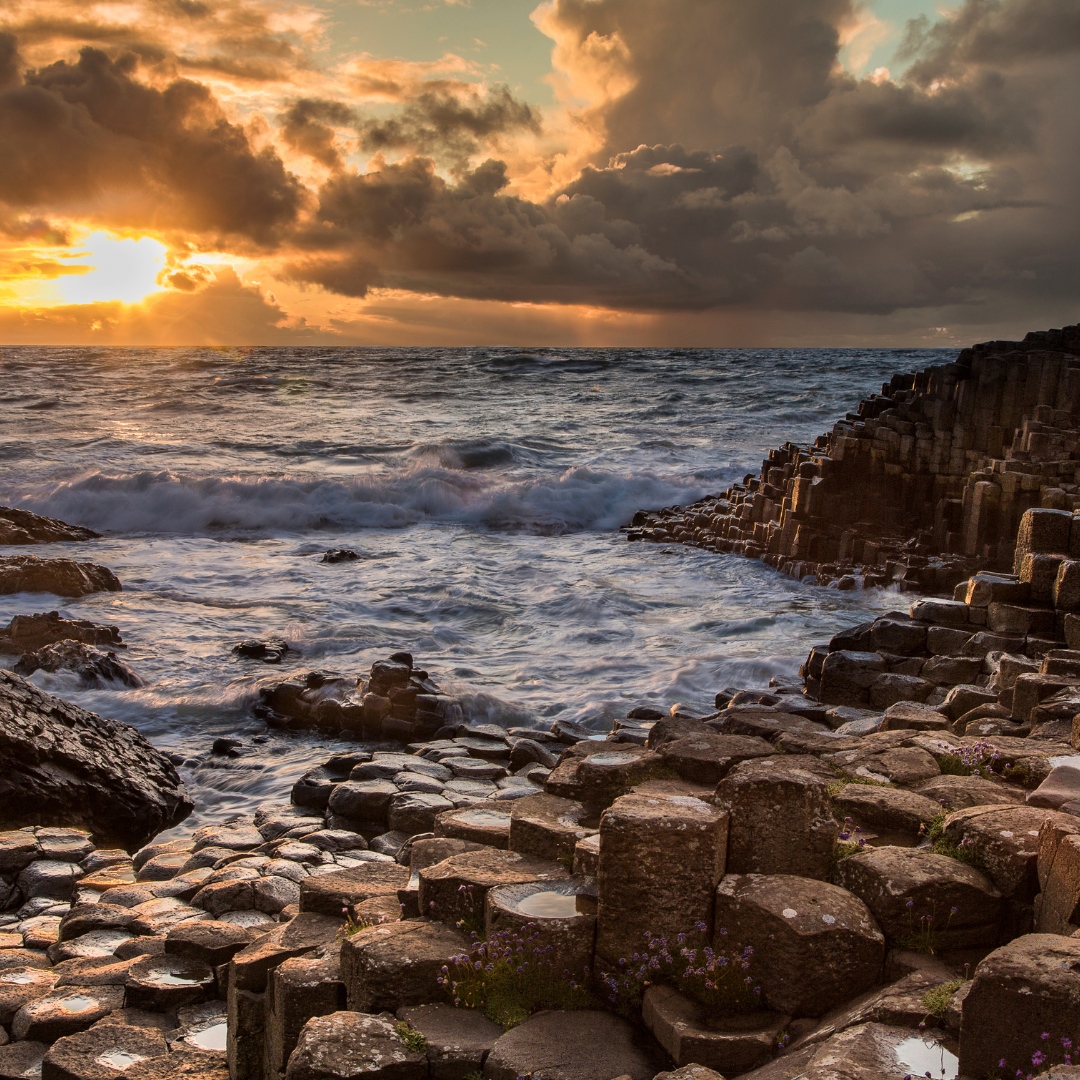 WildRoverTours's tweet photo. Sunset in a place of pure beauty 🌀

📍The Giant's Causeway

Courtesy of Jim Hamilton 

#thegiantscauseway #ireland #northernireland #wildroverdaytours https://t.co/h9eUYw5qCQ