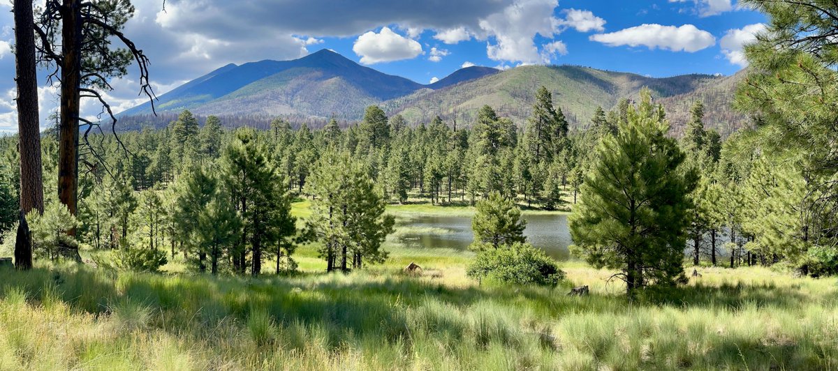 My 5th summer in Flagstaff and I have never seen Schultz Tank with this much water in mid-July, it's crazy. Potential record-setting hot and dry this weekend but increasing chance of the monsoon coming in next week, another great summer in Flagstaff and the San Francisco Peaks.