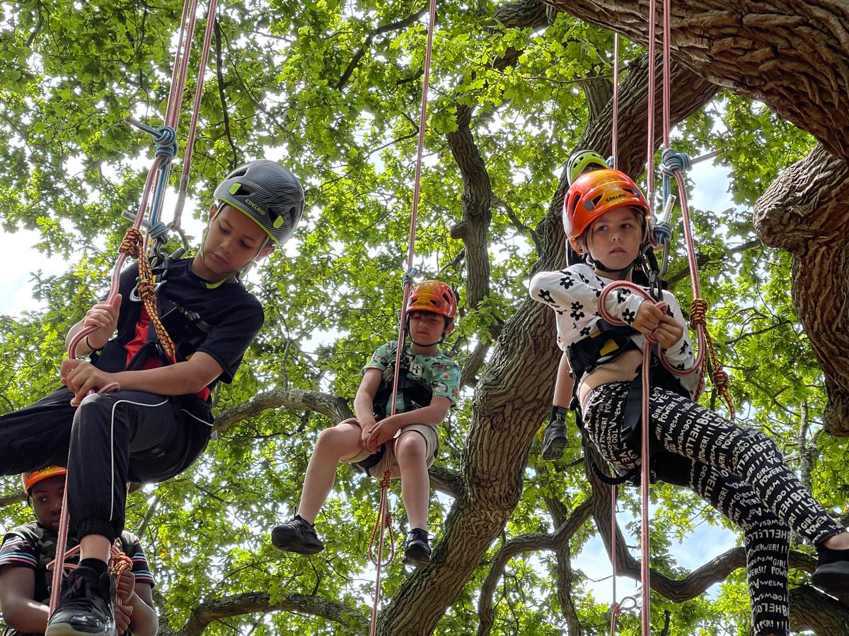 Greenstedpri's tweet photo. I see trees a green-sted… tree climbers too… #Treeclimbers #Goodleaf #GoGreensted https://t.co/q3uLFo1PHq