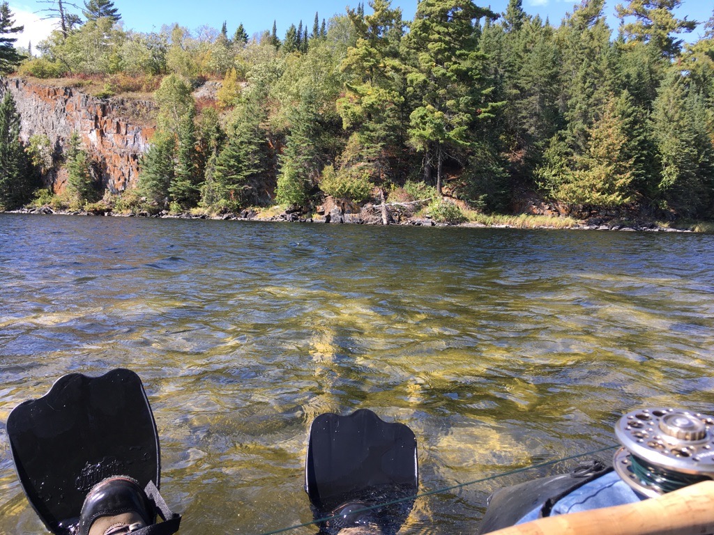 The morning bite... As most fish always seek shadows and hiding places to either wait for prey, hide from predators, or feed in peace, early mornings provide the perfect cover, no matter where the fish are!

#huntfishmb #mloa