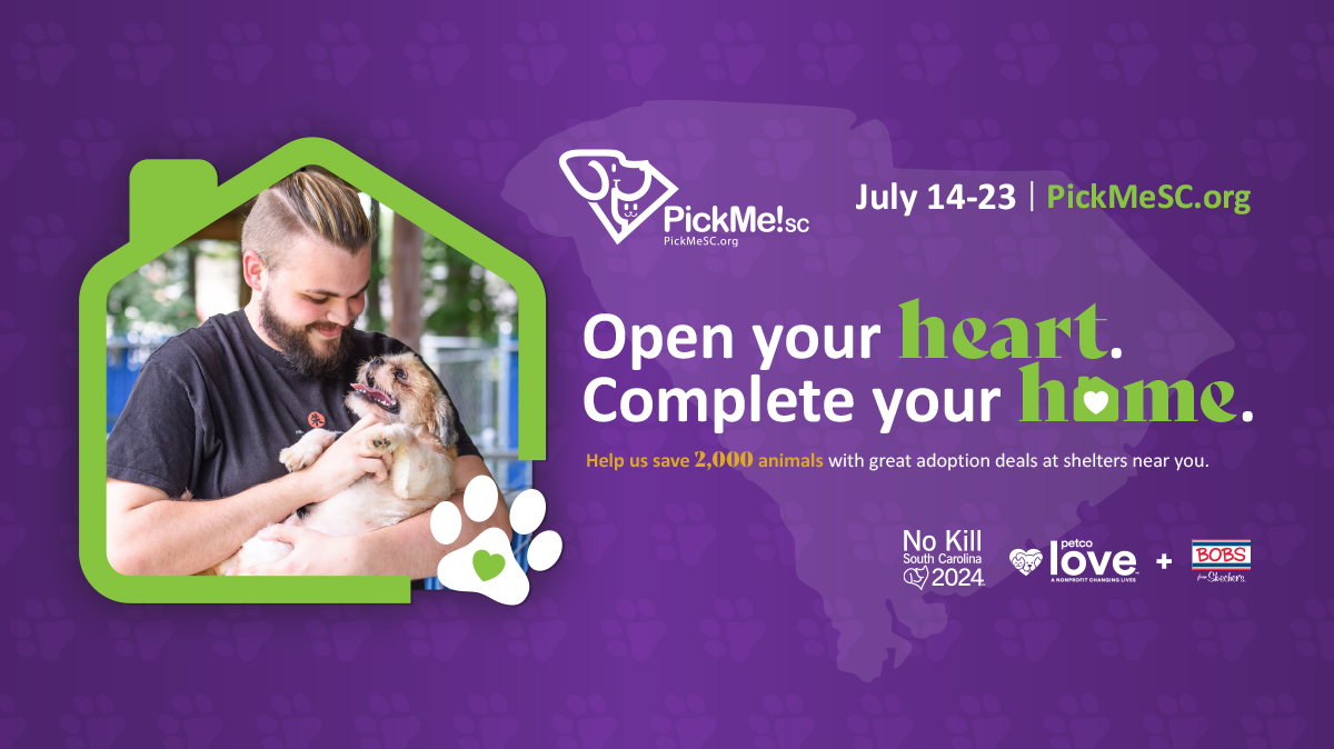 ACAS_PAWS's tweet photo. Pick Me! SC begins TOMORROW, and weโre HOWLING with excitement! ๐ฃ๐พ Find your loyal companion with reduced adoption fees through July 23. Visit us to find your new PAW-sitively perfect partner!
#PickMeSC #PickMeSC2023 #NoKillSC #NKSC2024 #AnimalShelter #Adoption #PetAdoption https://t.co/iemthchU3n
