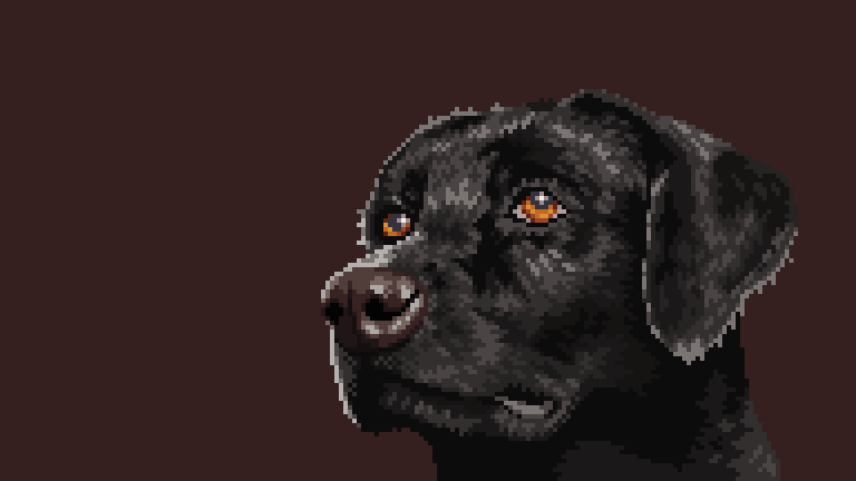 Can I offer you a bork in these trying times?