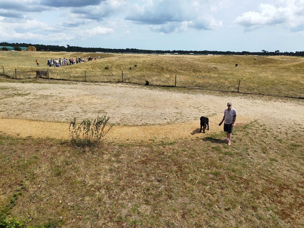 ZebedeeZebedog's tweet photo. Another lovely outing in Suffolk. This time @NT_SuttonHoo Sadly I couldn't go up to the viewing tower as I am not an assistance dog (even though I am usually very helpful) So I didn't get to see the view myself. https://t.co/MDuIu8Bafa