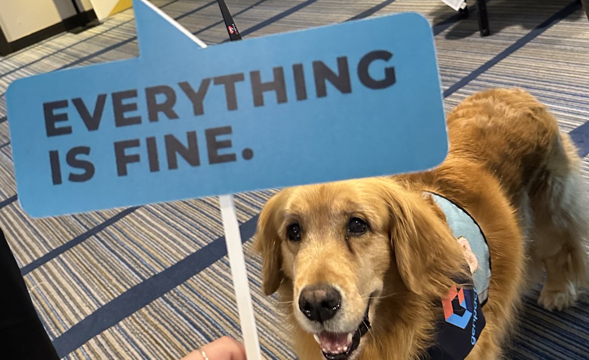 nsaadbembridge's tweet image. Excited to moderate this important discussion about online age verification laws at #trustcon2023 today — 4 PM in Ballroom C.

co-hosted by @NetChoice and @ProgressChamber. Sponsored by trust &amp;amp; safety icon, Baxley 🐶.