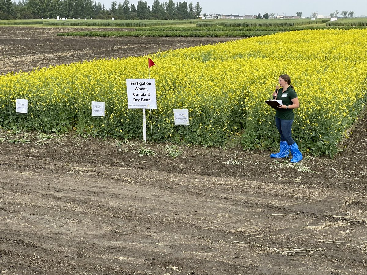 GW_WFL's tweet photo. Sara Ingell discusses fertigation at #CSIDC #ICDC #SaskAg at CSIDC Field Day. Look for results on the ICDC Website. https://t.co/NtwXfFnlDM