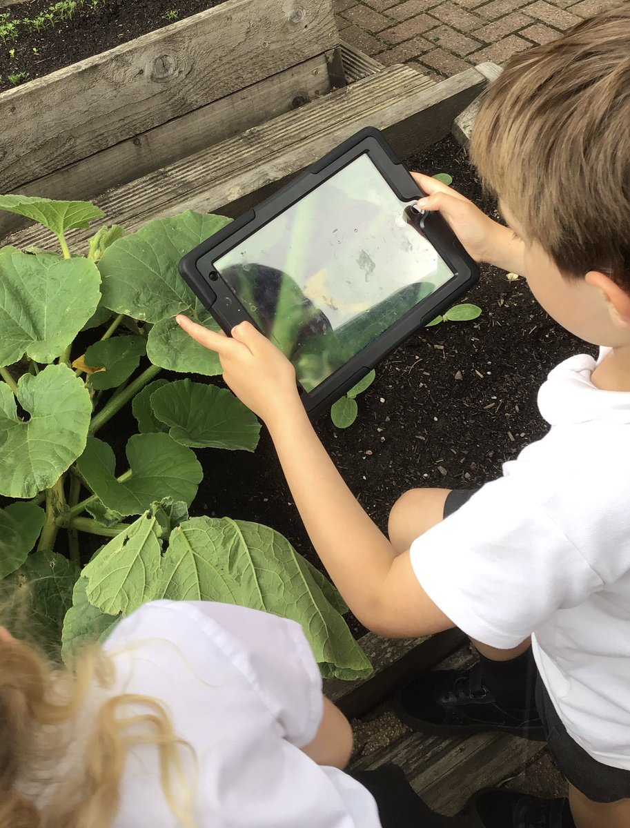 MrsEmmaThompson's tweet photo. Year 2 loved learning about photo editing this afternoon and have produced some brilliant photos of our school courtyard 📸💫👏 #MoorsidePA #MoorsidePAComputing https://t.co/nYxTkXJr1M