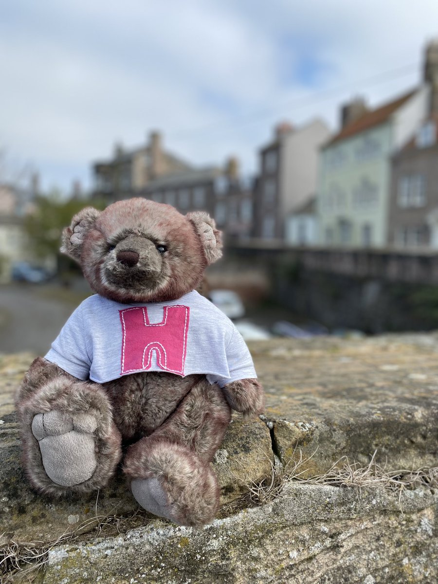 hodsberwick's tweet photo. #BariBear out and about exploring our beautiful #BerwickUponTweed https://t.co/XMw4Y7Dysa