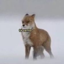 lucasinutilismo's tweet photo. sentindo a brisa do ciclone https://t.co/nH7xPmLm3q
