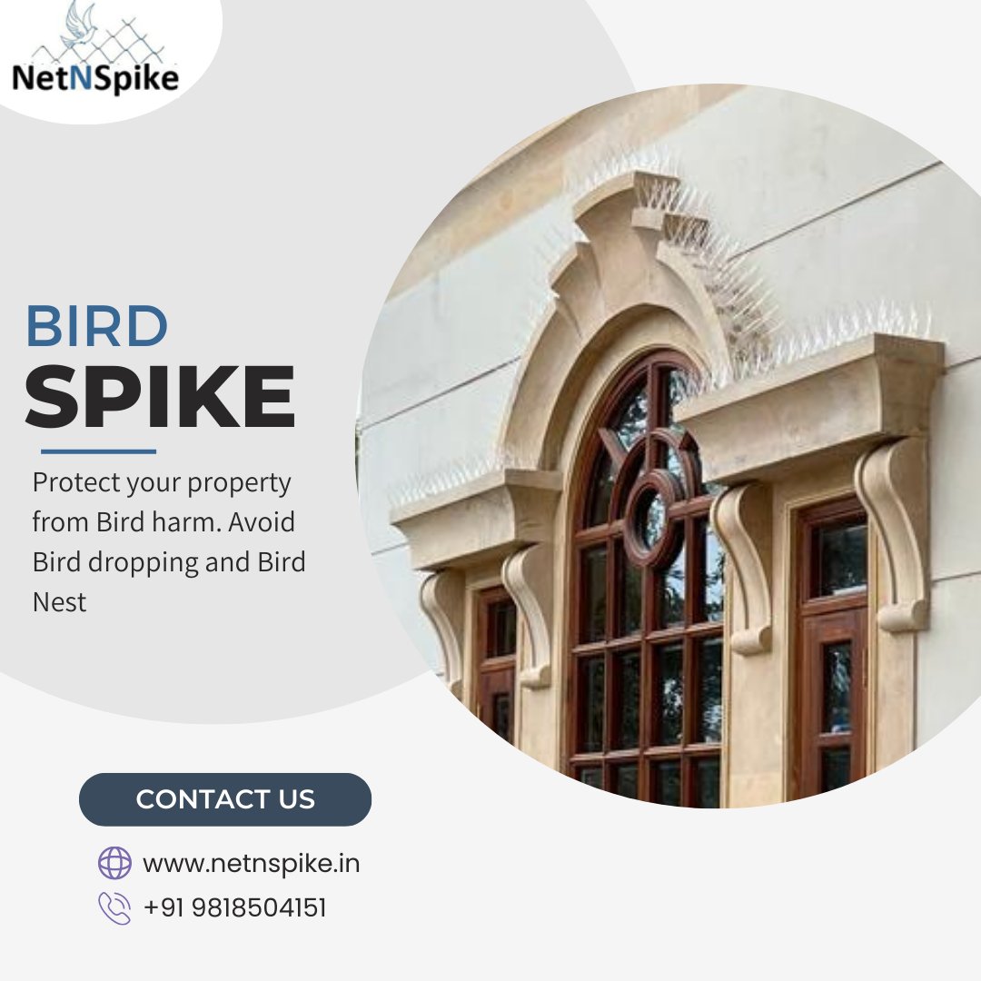 netnspike's tweet image. Bird Spike
 
Protect your ac from bard harm with NetNSpike's Bird Spike AC Kit 

Contact Us Now:
📞 (+91) 9818504151
📧 netnspike@gmail.com
🌐 netnspike.in

#BirdNetBalcony
#AvianSafetyZone
#BalconyBirdNet
#FeatheredFriendsRetreat
#ProtectOurFeatheredNeighbors