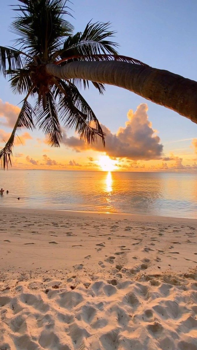 Paysages_lands's tweet photo. Sunset 🧡 https://t.co/8pjWZpKAZf