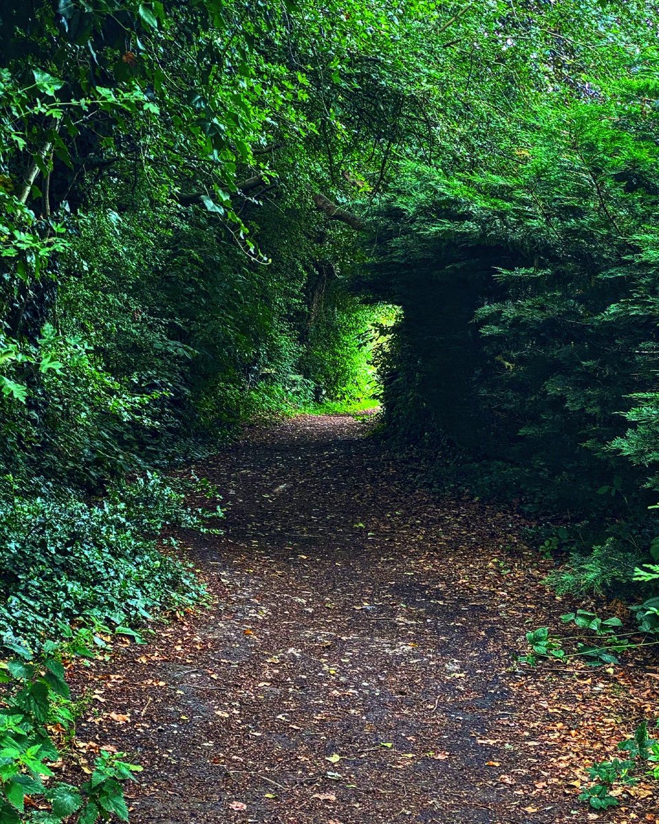 Feather_Charm's tweet photo. If you ever get the chance to go out into nature, I highly recommend you go. Nothing beats feeling refreshed with a nature walk.
#FeathersCharm #life #lifestyle #naturewalk #nature #summerhike #hike #naturehike #hiking #walk #parkwalk #naturepark https://t.co/0BfQm5PCOQ