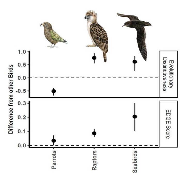 Bird Ecology & Migration Lab tweet media