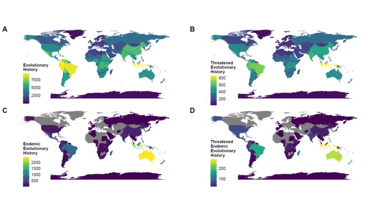 Bird Ecology & Migration Lab tweet media