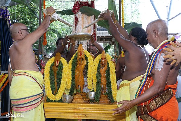 svbcttd's tweet photo. PAVITHROTSAVAM BEGINS IN SRI KRT
( శ్రీ కోదండరామాలయంలో పవిత్రోత్సవాలు ప్రారంభం )

#ramalayam #Tirupati #ttdtemples  #SVBC https://t.co/234FHUUw9B