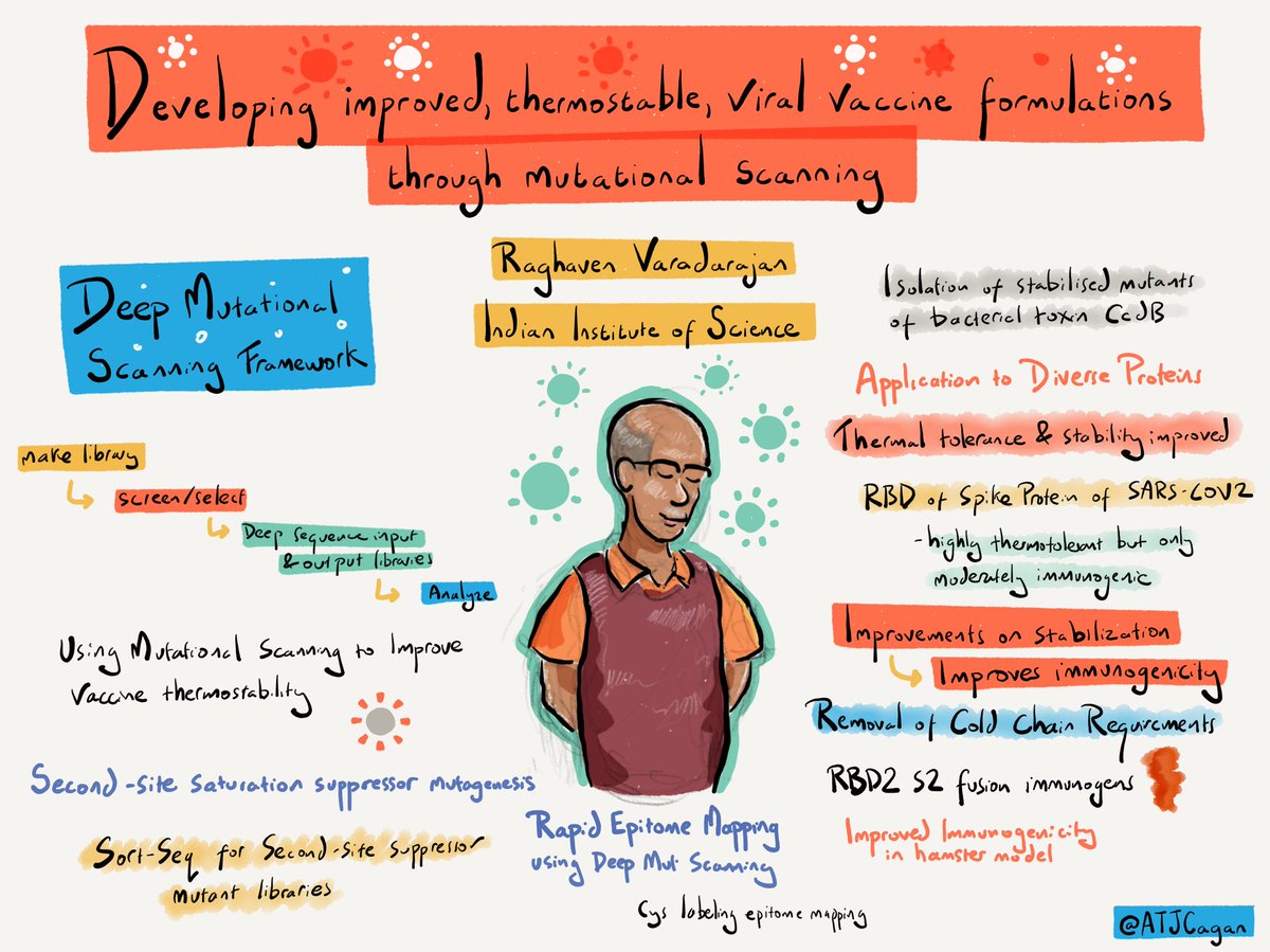 Raghaven Varadarajan on developing improved thermostable viral vaccine formulations through mutational scanning #VariantEffect23