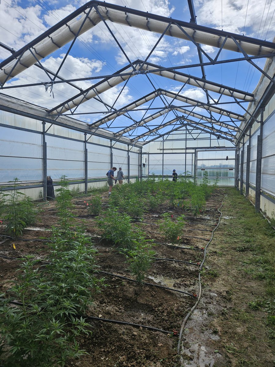 Livv_Grace_22's tweet photo. Friends, frogs, and field work- feels good to get out of the lab every once in a while @CSUAgSci #STEM #fielddayz #ARDEC #research https://t.co/dQmU9iVLcr