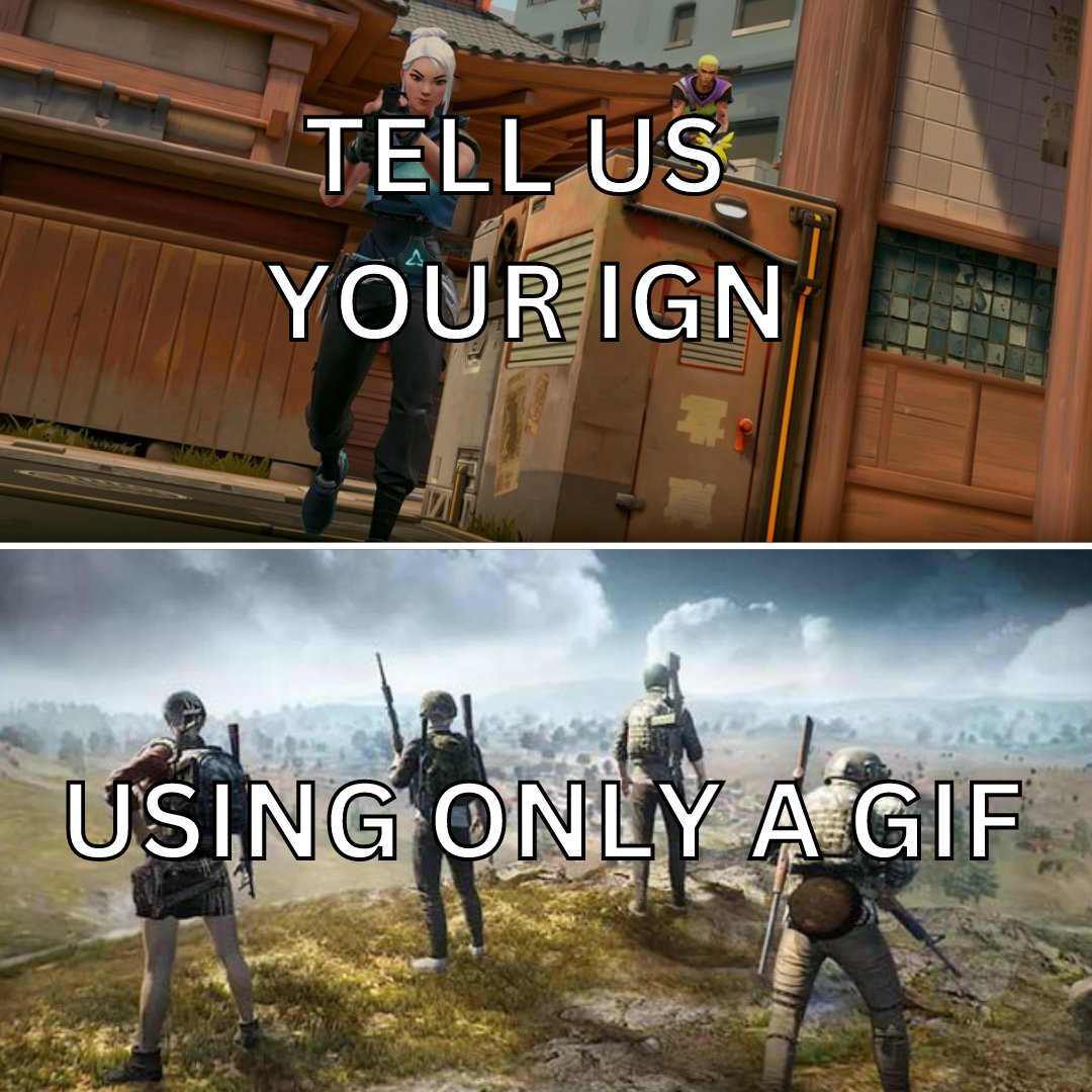 Orangutan tweet media