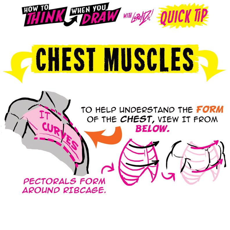 CHEST MUSCLES from the How to THINK When You Draw ENCYCLOPEDIA - the world’s ONLY encyclopedia of drawing tutorials, posted up FREE for EVERYONE, FOREVER, with NEW &amp; CLASSIC tutorials coming up EVERY DAY right here only on our twitter :)
#gamedev #manga #conceptart #illustration