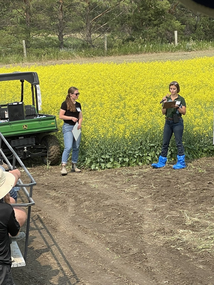 GW_WFL's tweet photo. N use efficiency in canola discussed by Rachelle McCannell, UofS, at CSIDC field day. #CSIDC #ICDC #SaskAg https://t.co/tZOg4t7g1q