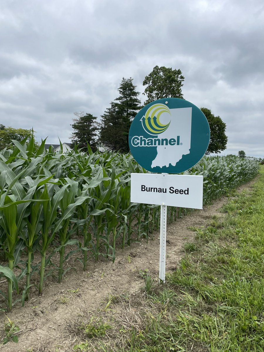 Josh Robertson tweet media