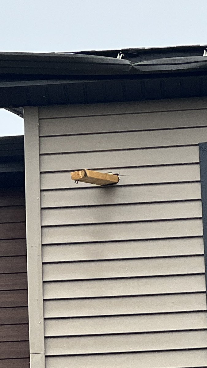 EnjoyTheTom's tweet image. Ground zero of the #tornado #ONStorm