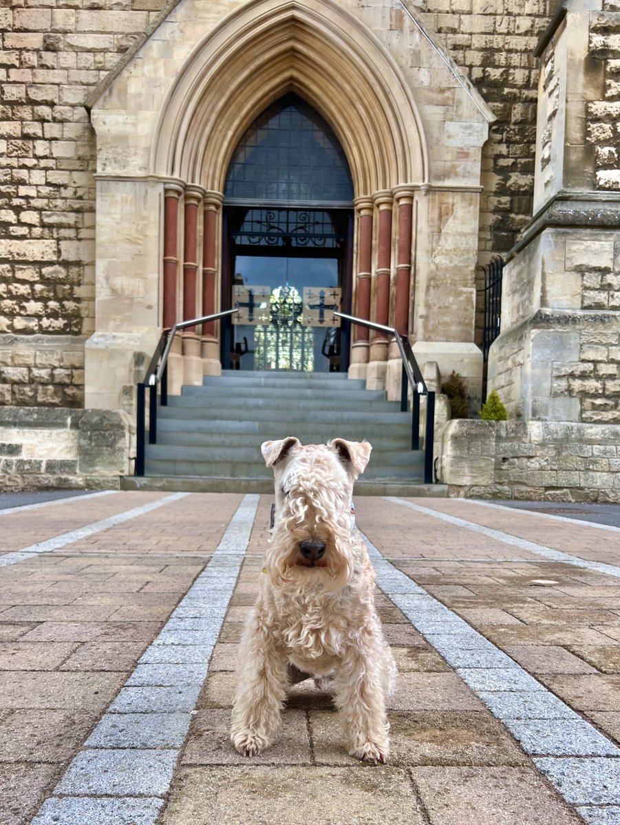 bertie_lakeland's tweet photo. I’m right here 💋 https://t.co/p7fu7Hwit2