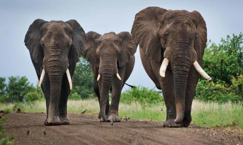 Maker_0x's tweet photo. 7/

Pyth quickly attracted big players like @VenusProtocol, @synthetix, and more recently @AaveAave. It's not just about the size of the network, but who's in it!

Binance has 4 fingers. Pyth has 3 elephants🐘🐘🐘

#PoweredByPyth #PythNetwork #Pythdata https://t.co/YqtyEChdm1