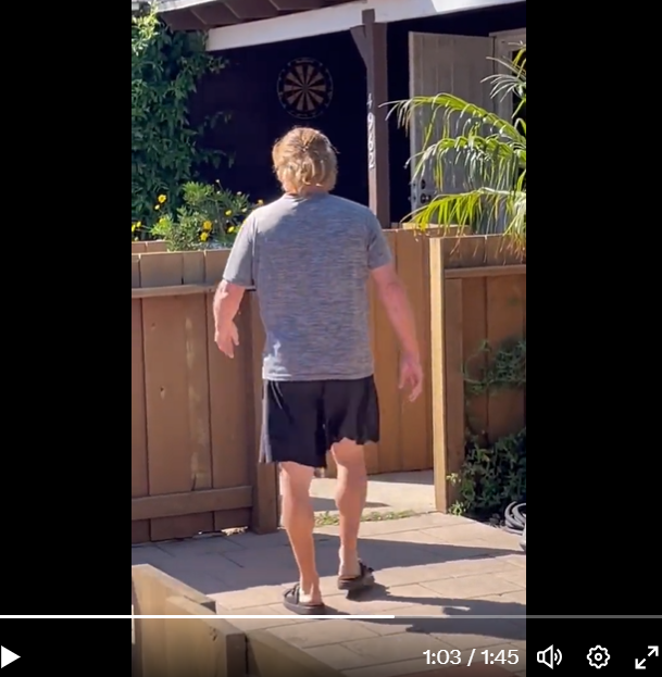 iccleaver's tweet image. Never mind the cat , but only the Dutch will be able to play darts here.