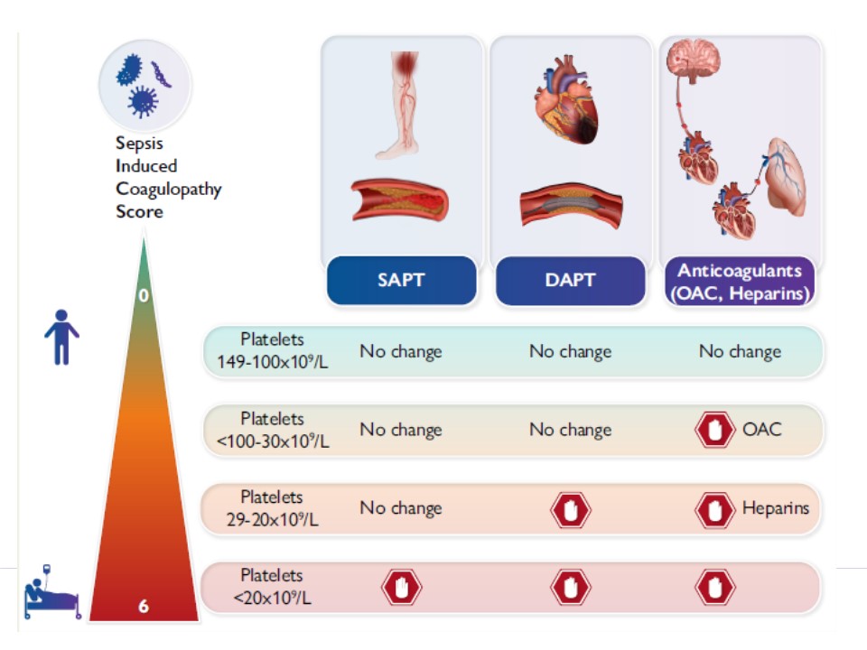 José Luis Ferreiro Gutiérrez tweet media