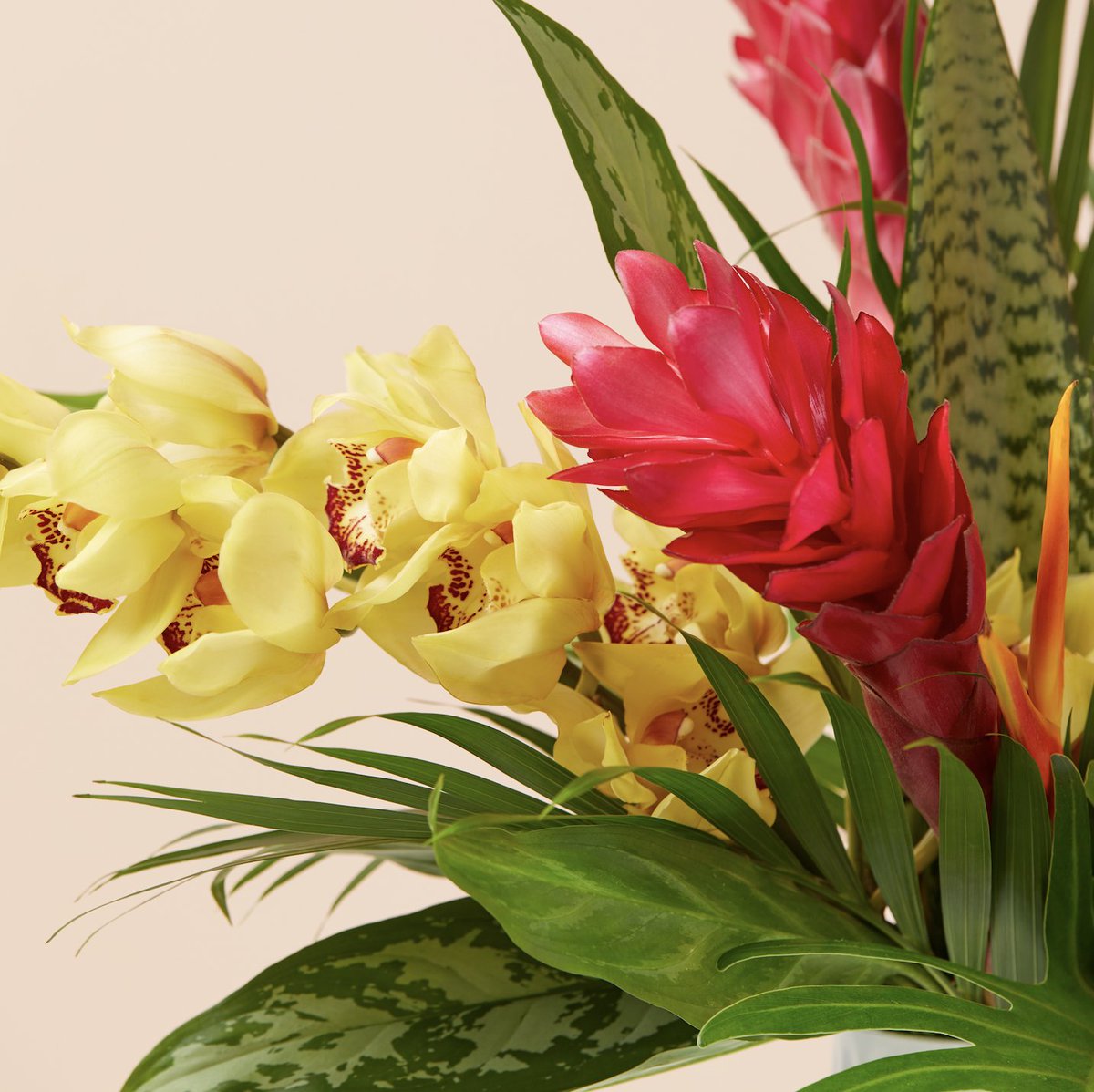 Tropic like it's hot with some of our summer faves... Our Tropicals! You don't even gave to leave your house to feel like you're on vacay with these Bouqs 🌴