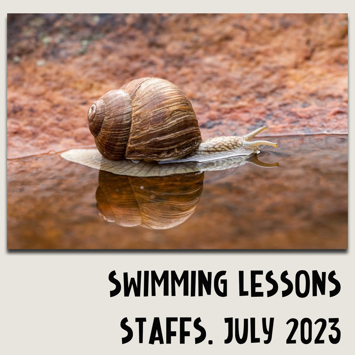 We all experience life differently - A day in the life of a snail #snails #gastropods #invertebrate #liveyourbestlife