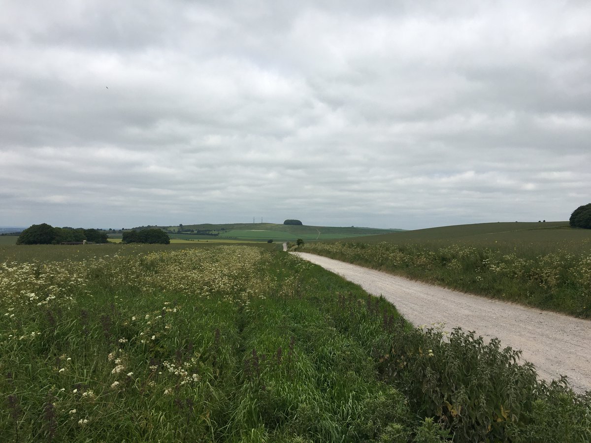 CharlesCordell's tweet photo. The Battle of #RoundwayDown was fought #OTD 1643. A great story - it is part of Book 2 of #DividedKingdomBooks.
#EnglishCivilWarFiction #RoundwayDown
#Devizes #DevizesWiltshire #DevizesBooks #DevizesHistory #WiltshireHistory #WiltshireLife #Chippenham #Marlborough #Wiltshire https://t.co/HE0MZkJ8MQ