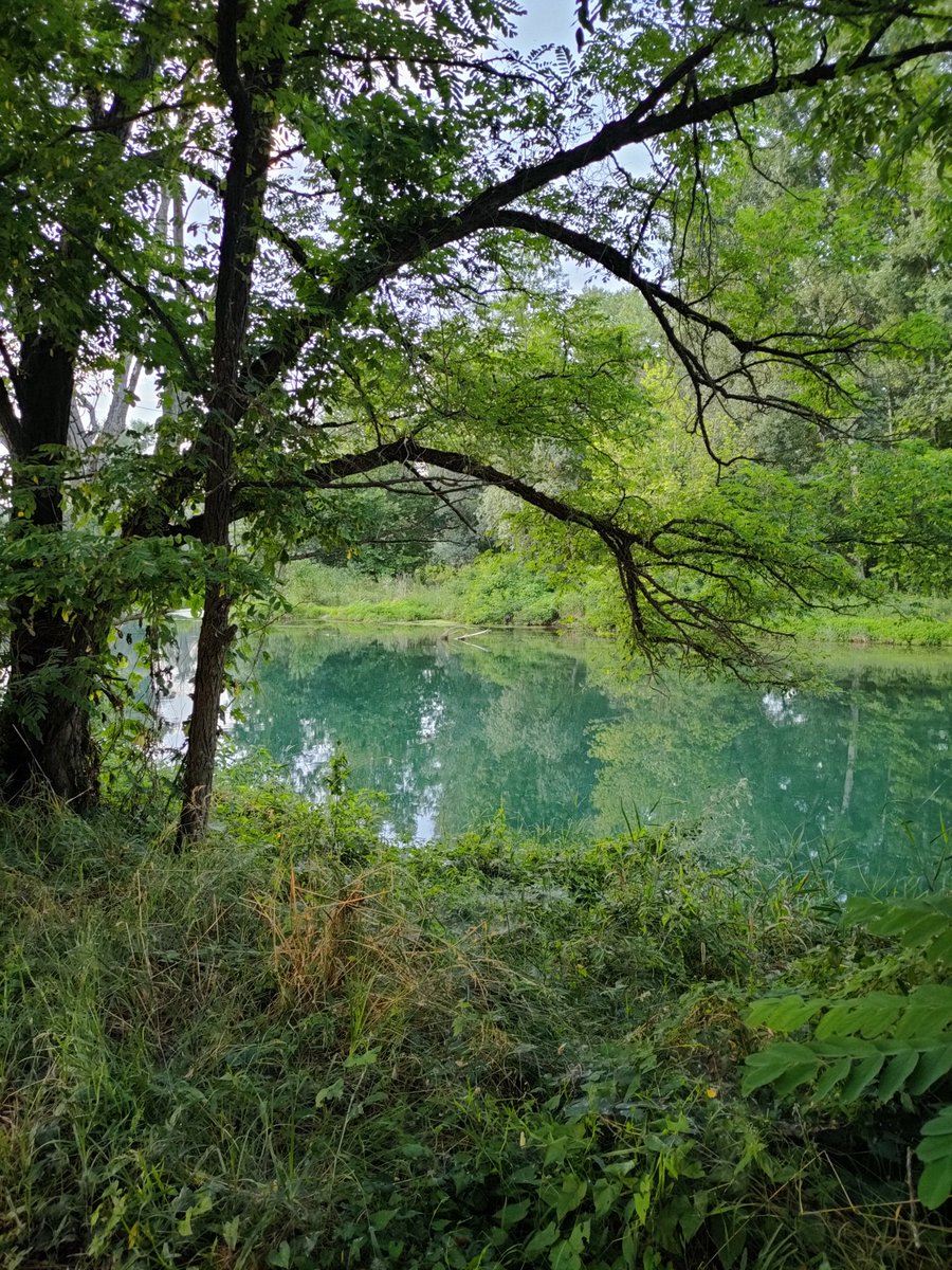 #RestorationLaw approvata (anche se sul disegno finale della legge c'è ancora da lavorare) e #BCE che propone, tra le altre cose, fiumi e uccelli (insomma natura) come simboli delle nuove banconote. Qualcosa sta culturalmente cambiando in Europa? (Non in Italia, però). 🇪🇺