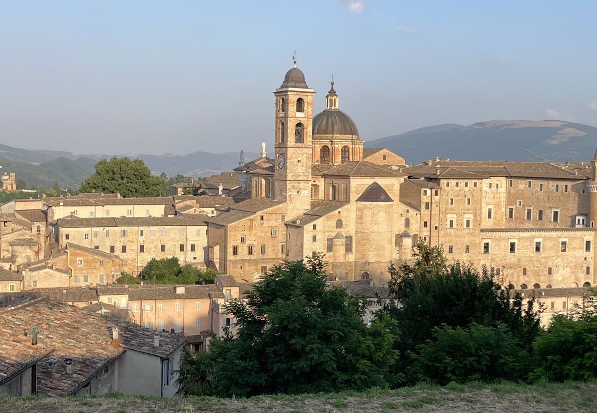 Amy Hagen tweet media