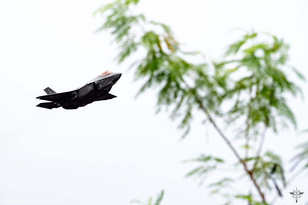 #PEGASE23 À l’occasion de la fête nationale de Palau 🇵🇼, 2 Rafale 🇫🇷 ont défilé aux côtés de 4 F-35 🇺🇸 au-dessus de la ville de Koror. ➡ Jusqu’au 14 juillet, les équipages éprouveront leurs procédures aux côtés des aéronefs engagés sur #NorthernEdge23. #Cooperation @usairforce