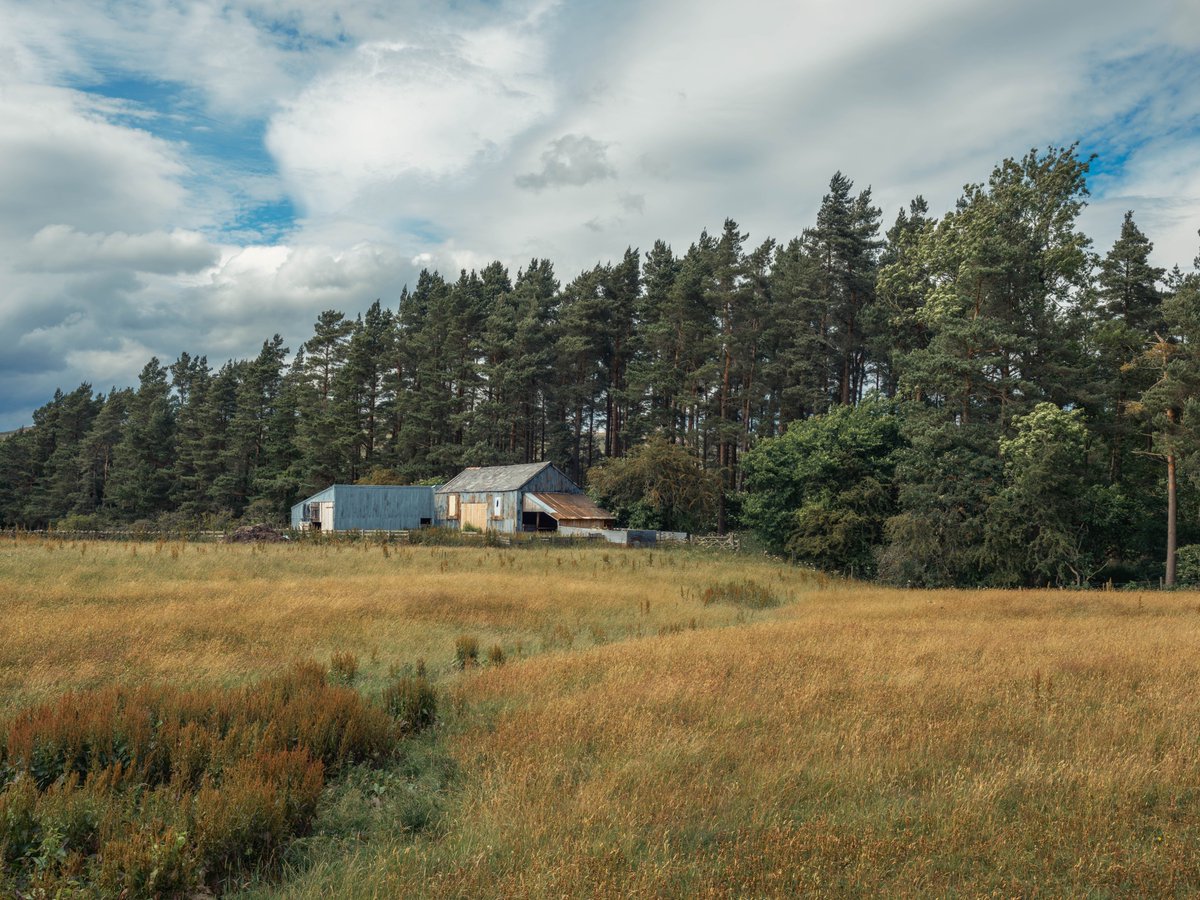Pav_Visuals's tweet image. Exploring the profound bond between humans and nature through abandoned remnants in the British countryside. Busy preparing for my Master's exhibition and printing a book that captures my year-long artistic journey. #contemporaryart  #BritishCountryside #landscape #photography