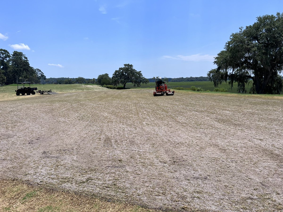 Billy Bagwell tweet media